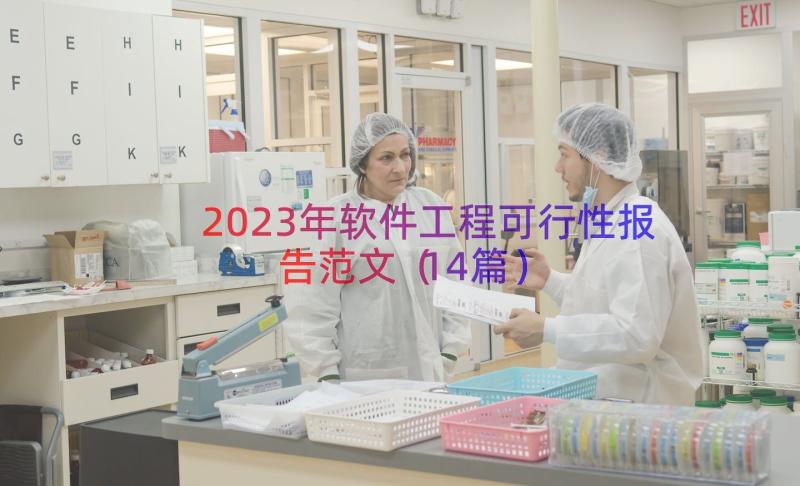 2023年软件工程可行性报告范文（14篇）