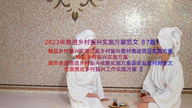 2023年推进乡村振兴实施方案范文（17篇）