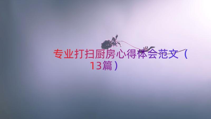 专业打扫厨房心得体会范文（13篇）