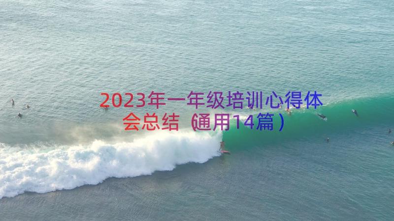 2023年一年级培训心得体会总结（通用14篇）