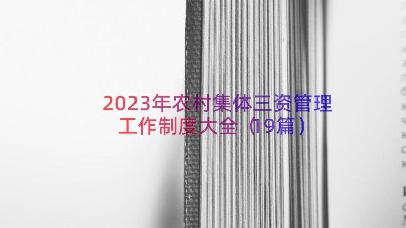 2023年农村集体三资管理工作制度大全（19篇）