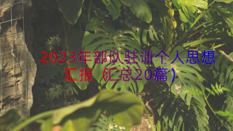 2023年部队驻训个人思想汇报（汇总20篇）