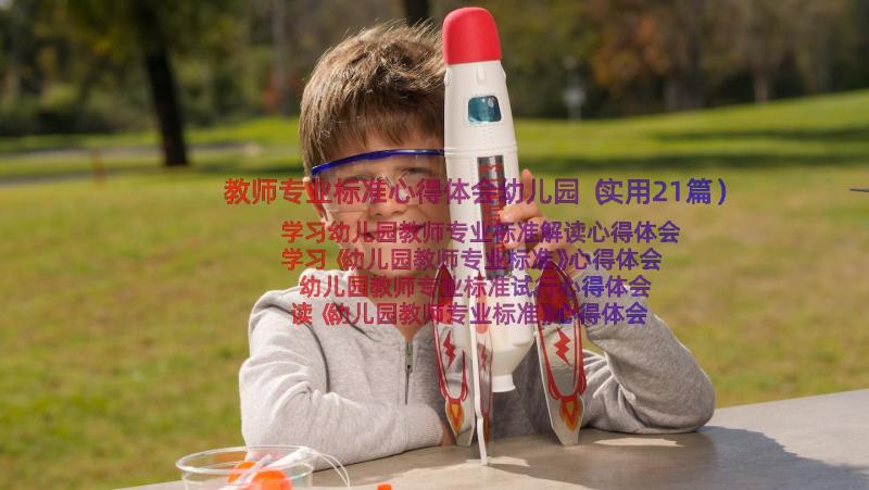 教师专业标准心得体会幼儿园（实用21篇）