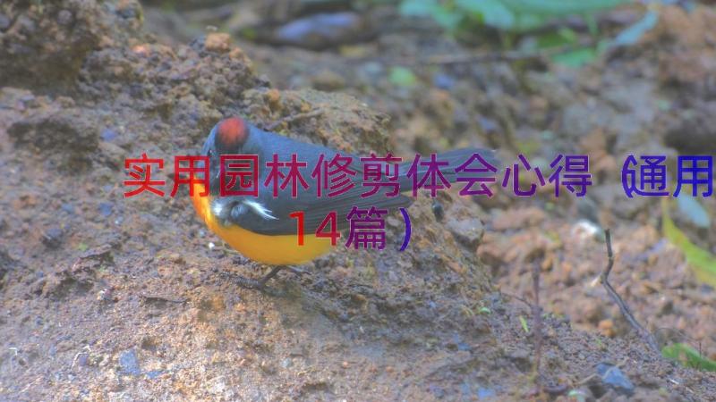 实用园林修剪体会心得（通用14篇）