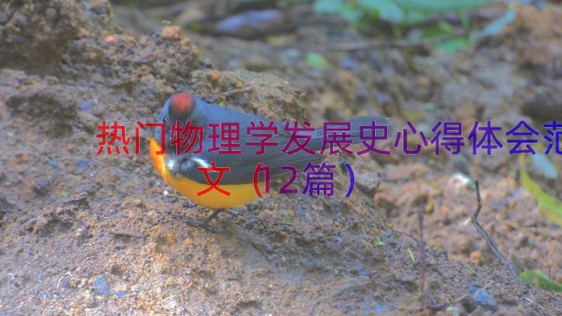 热门物理学发展史心得体会范文（12篇）