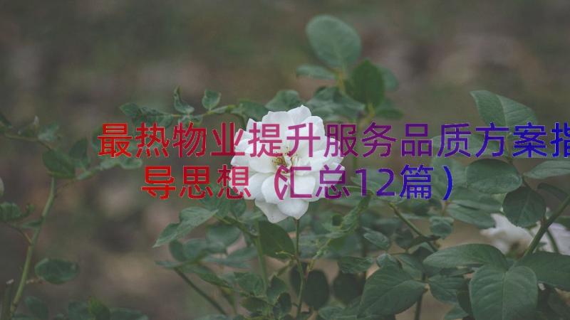 最热物业提升服务品质方案指导思想（汇总12篇）