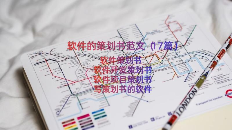 软件的策划书范文（17篇）