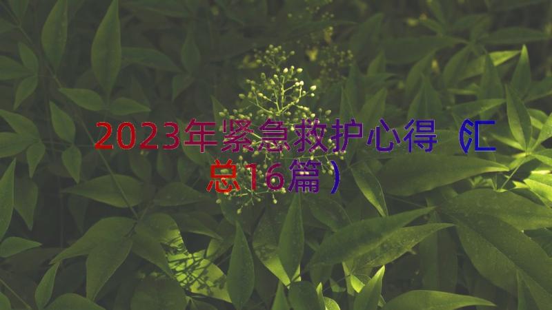 2023年紧急救护心得（汇总16篇）