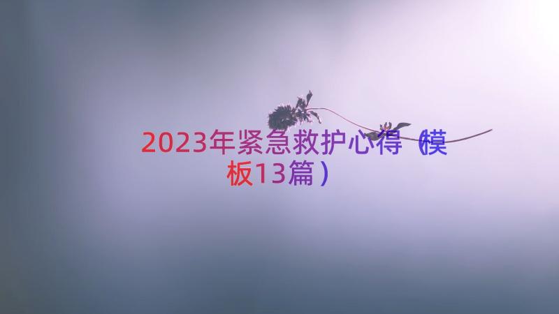 2023年紧急救护心得（模板13篇）