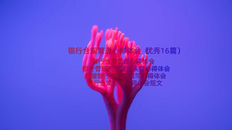 银行合规管理心得体会（优秀16篇）