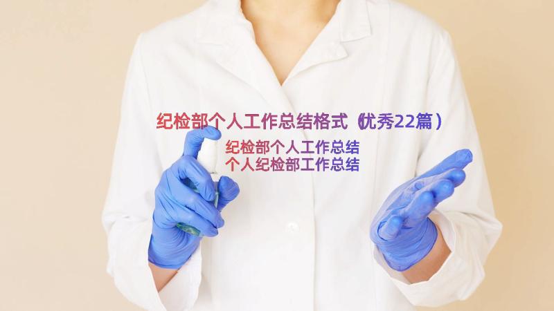 纪检部个人工作总结格式（优秀22篇）