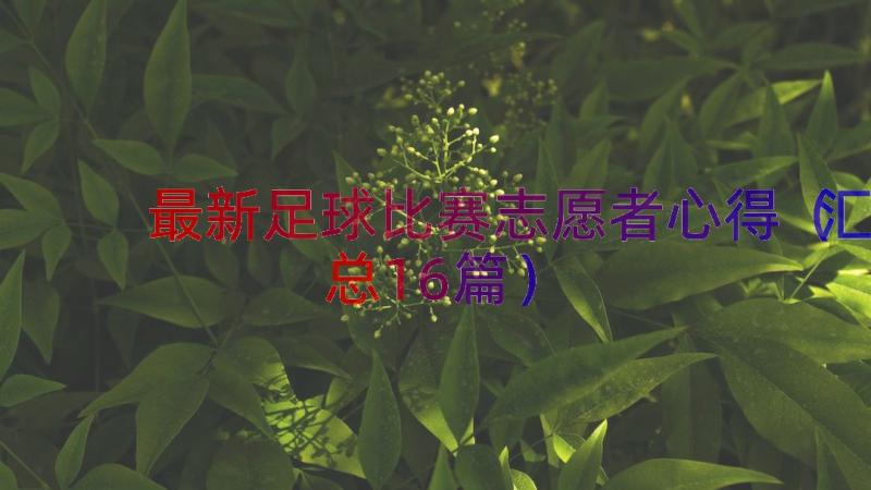 最新足球比赛志愿者心得（汇总16篇）