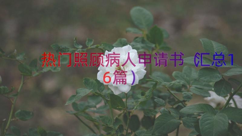 热门照顾病人申请书（汇总16篇）