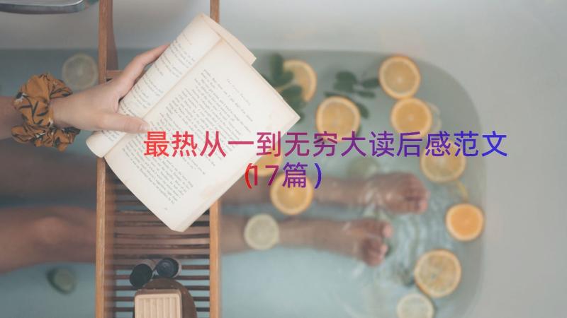 最热从一到无穷大读后感范文（17篇）