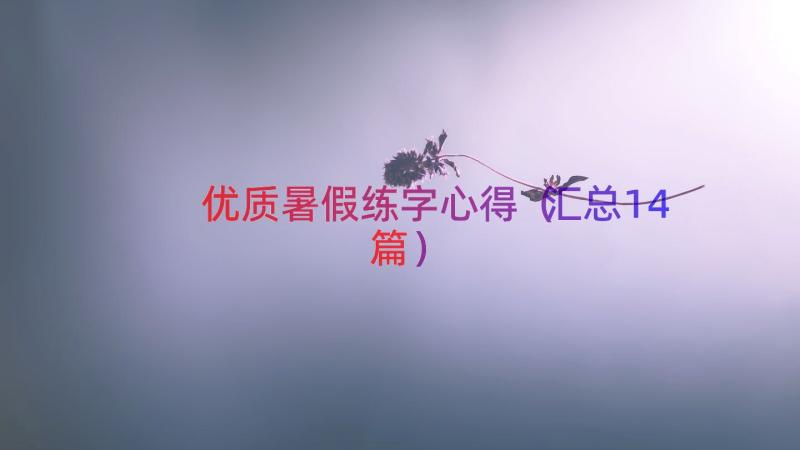 优质暑假练字心得（汇总14篇）