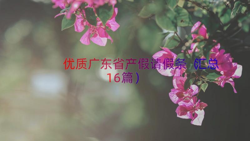 优质广东省产假请假条（汇总16篇）