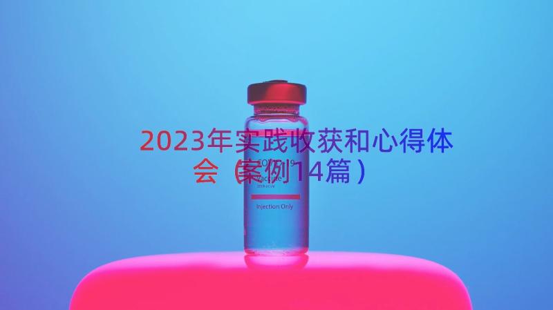 2023年实践收获和心得体会（案例14篇）