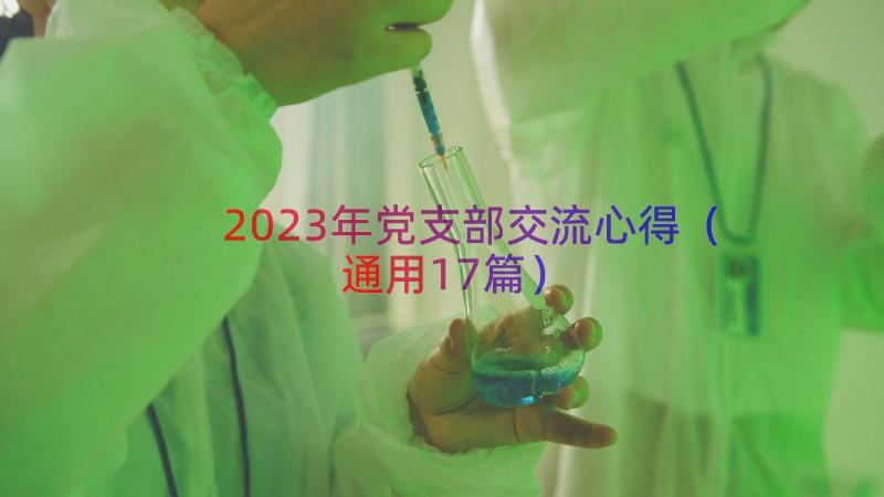 2023年党支部交流心得（通用17篇）