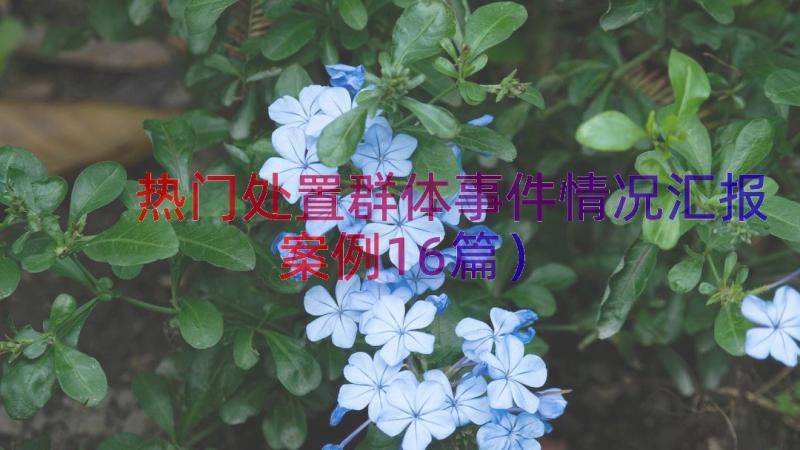 热门处置群体事件情况汇报（案例16篇）