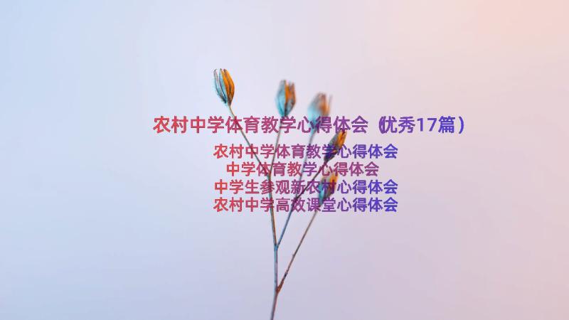 农村中学体育教学心得体会（优秀17篇）