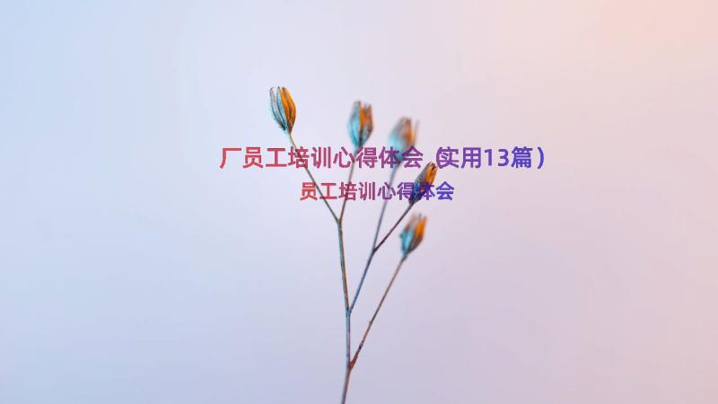 厂员工培训心得体会（实用13篇）