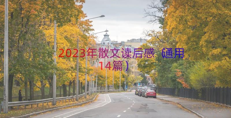 2023年散文读后感（通用14篇）