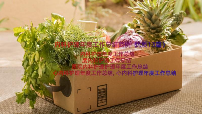 内科护理年度工作总结范例（优质13篇）