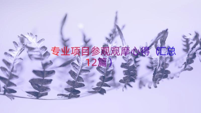 专业项目参观观摩心得（汇总12篇）