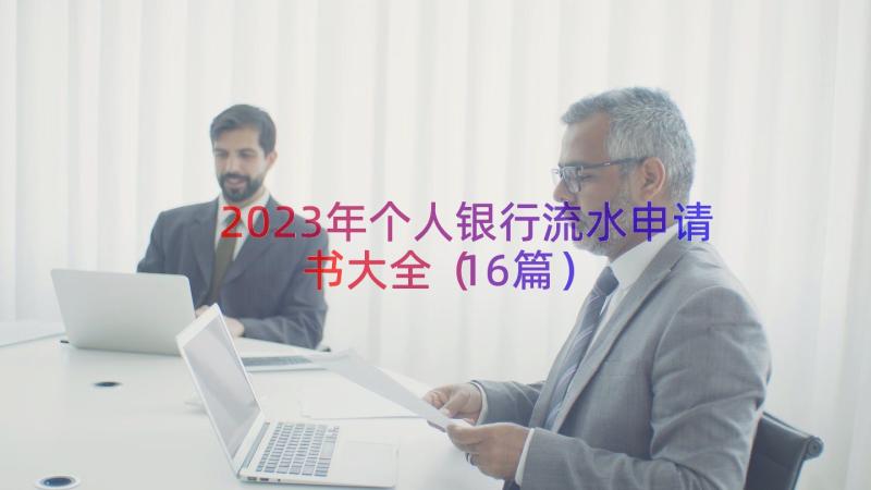 2023年个人银行流水申请书大全（16篇）