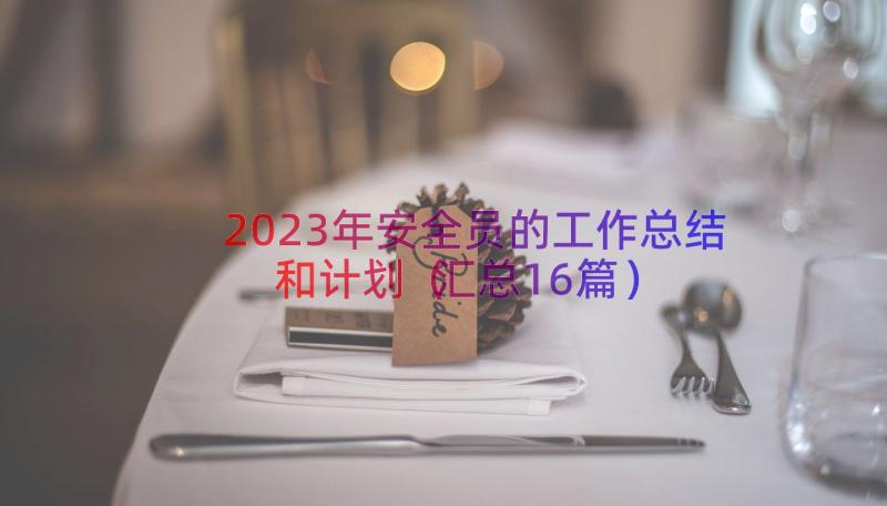 2023年安全员的工作总结和计划（汇总16篇）