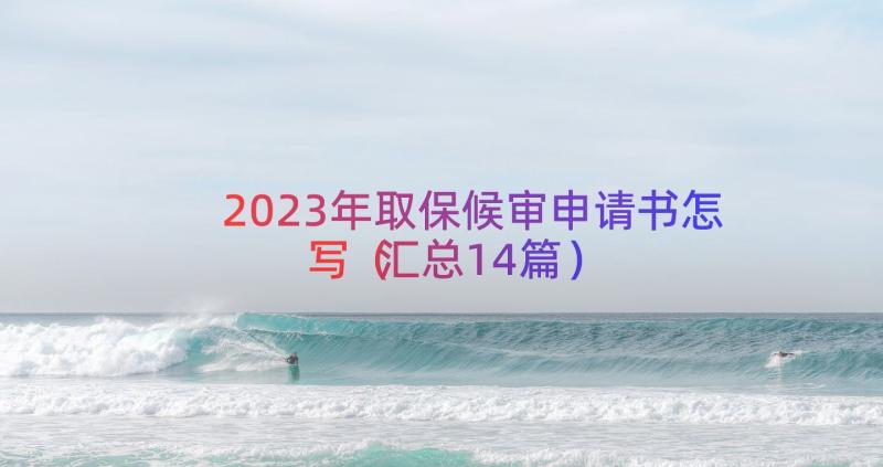 2023年取保候审申请书怎写（汇总14篇）