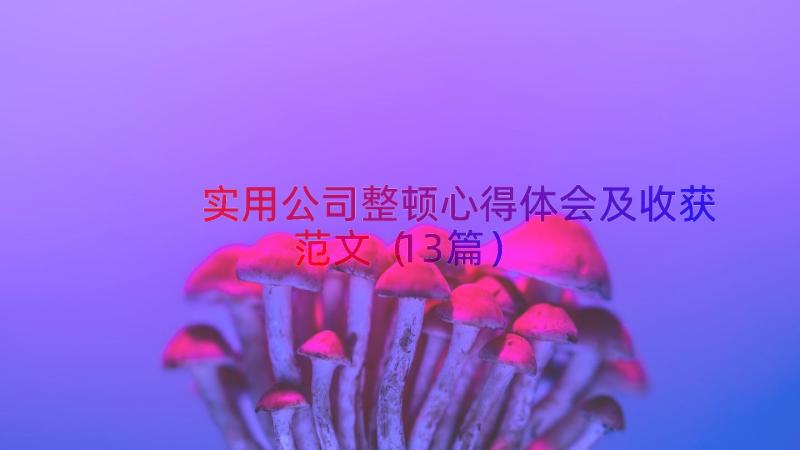 实用公司整顿心得体会及收获范文（13篇）