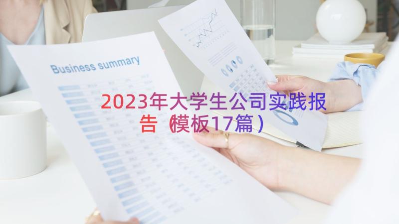 2023年大学生公司实践报告（模板17篇）