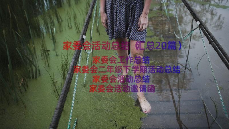 家委会活动总结（汇总20篇）