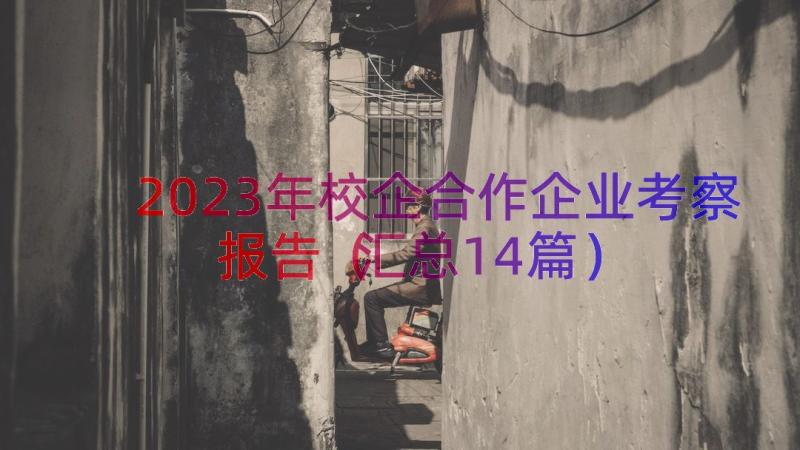 2023年校企合作企业考察报告（汇总14篇）