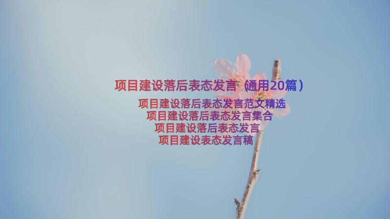 项目建设落后表态发言（通用20篇）