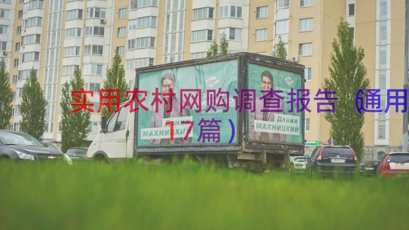 实用农村网购调查报告（通用17篇）