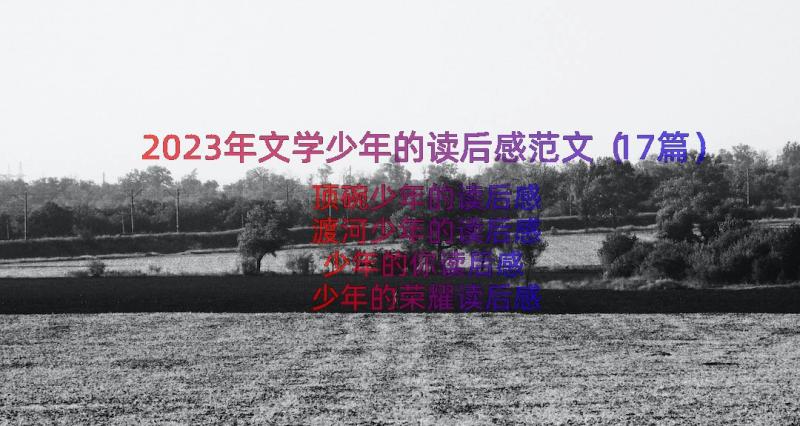 2023年文学少年的读后感范文（17篇）