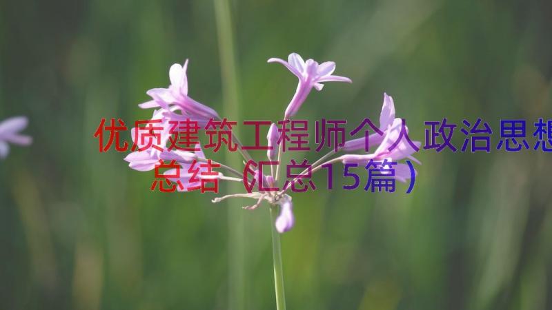 优质建筑工程师个人政治思想总结（汇总15篇）