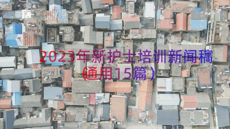 2023年新护士培训新闻稿（通用15篇）