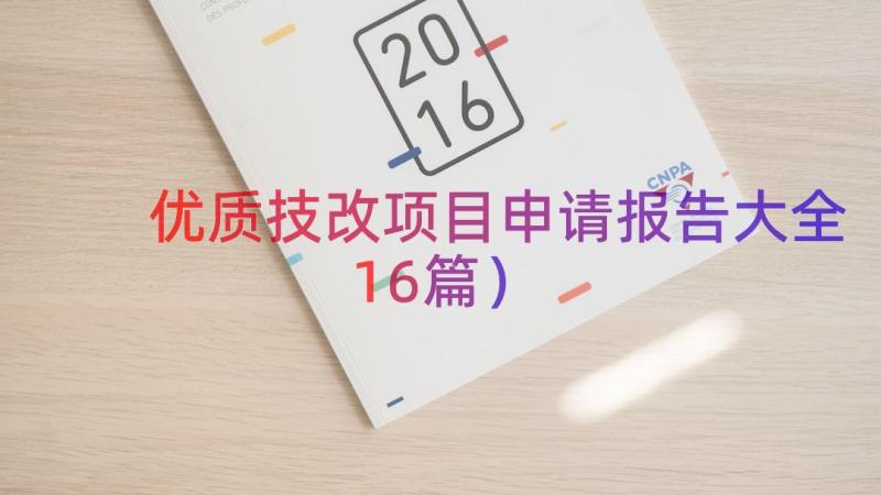 优质技改项目申请报告大全（16篇）