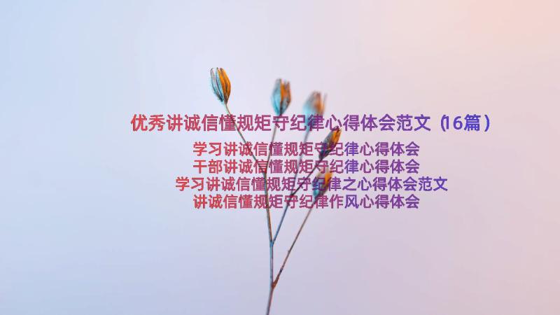 优秀讲诚信懂规矩守纪律心得体会范文（16篇）