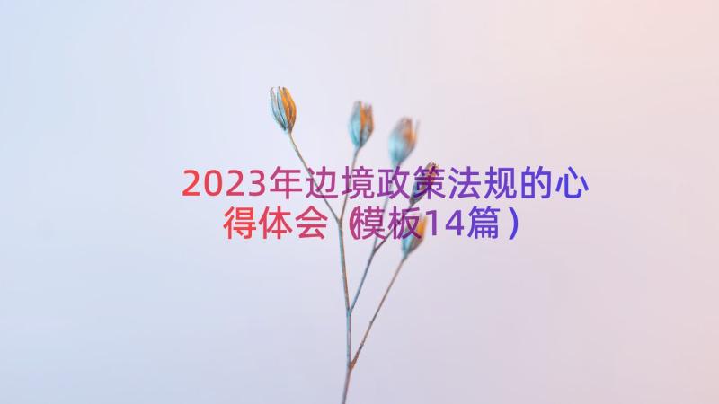 2023年边境政策法规的心得体会（模板14篇）