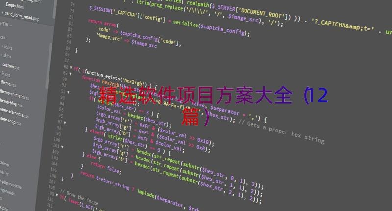 精选软件项目方案大全（12篇）
