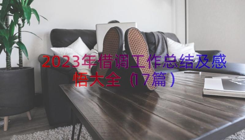 2023年借调工作总结及感悟大全（17篇）