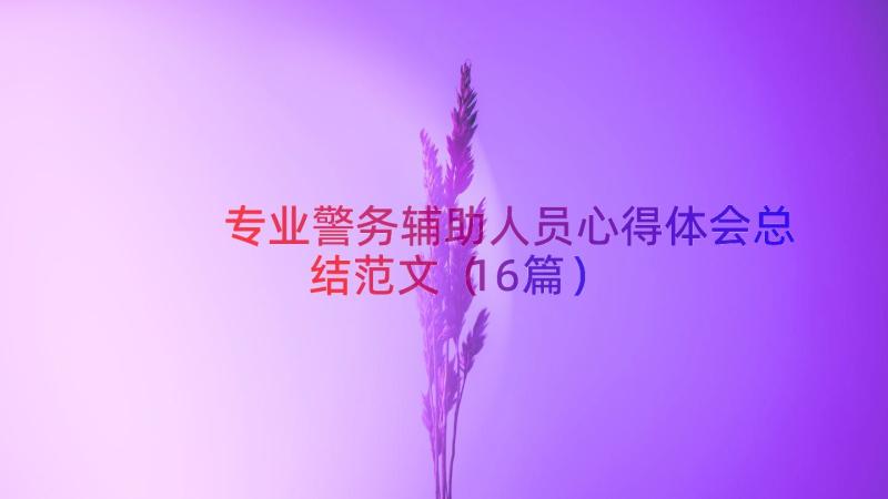 专业警务辅助人员心得体会总结范文（16篇）