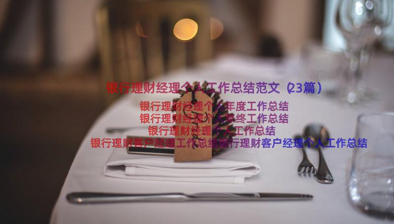 银行理财经理个人工作总结范文（23篇）