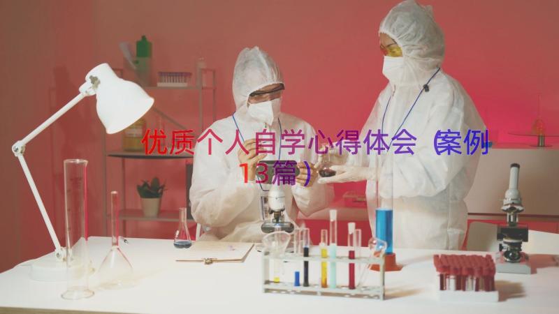 优质个人自学心得体会（案例13篇）