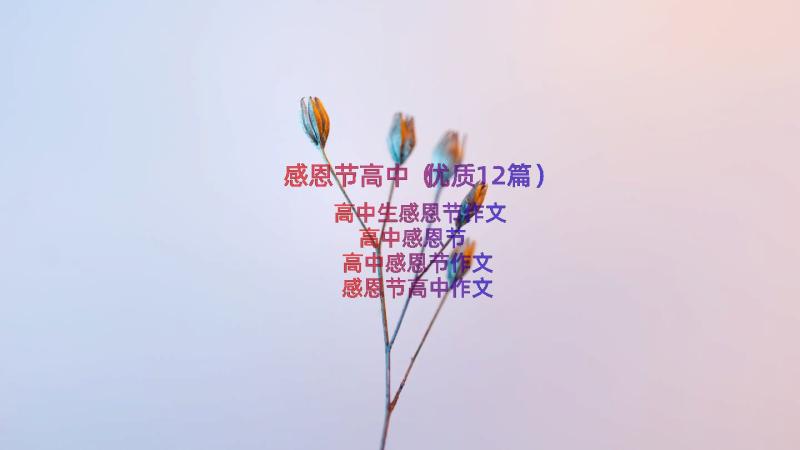 感恩节高中（优质12篇）