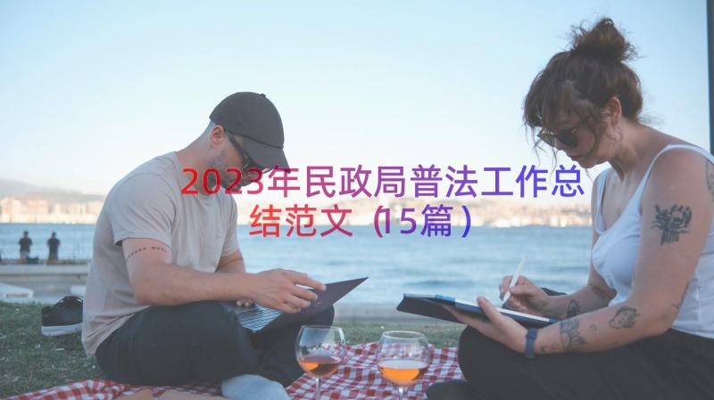 2023年民政局普法工作总结范文（15篇）